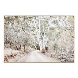 Eucalyptus Track Box Framed Canvas in 150 x 100cm by OzDesignFurniture, a Prints for sale on Style Sourcebook