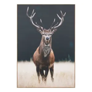 Meadow Deer Box Framed Canvas in 110 x 160cm by OzDesignFurniture, a Prints for sale on Style Sourcebook