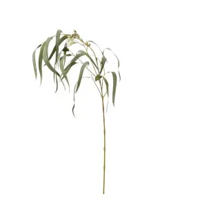 Eucy Flowering Spray White/Grey Green - 112cm by James Lane, a Plants for sale on Style Sourcebook