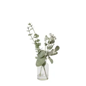 Tetragona Mix - Specimen Bottle by James Lane, a Plants for sale on Style Sourcebook