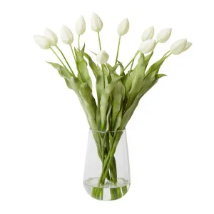 Tulips - Demi Vase - 50cm x 50cm x 70cm by James Lane, a Plants for sale on Style Sourcebook