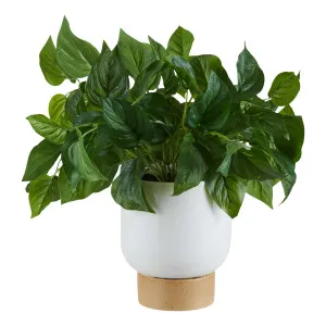 Pothos Bush Pot 40x40cm in Green / White by OzDesignFurniture, a Plant Holders for sale on Style Sourcebook