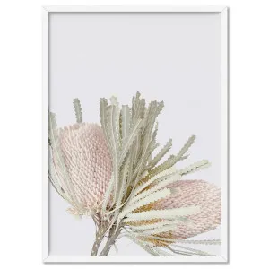 Pastel Banksias Blush II - Art Print by Print and Proper, a Prints for sale on Style Sourcebook