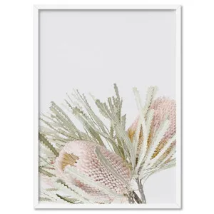 Pastel Banksias Blush I - Art Print by Print and Proper, a Prints for sale on Style Sourcebook