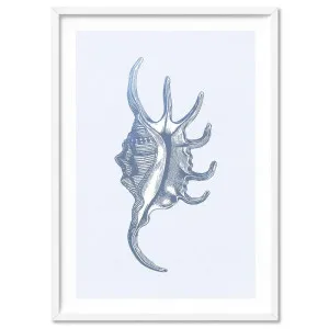 Sea Shells in Blue | Spider Conch - Art Print by Print and Proper, a Prints for sale on Style Sourcebook