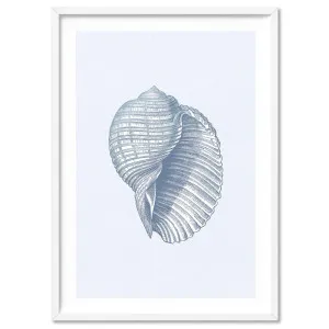 Sea Shells in Blue | Scotch Bonnet - Art Print by Print and Proper, a Prints for sale on Style Sourcebook