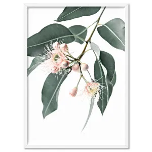 Flowering Eucalyptus in Blush - Art Print by Print and Proper, a Prints for sale on Style Sourcebook
