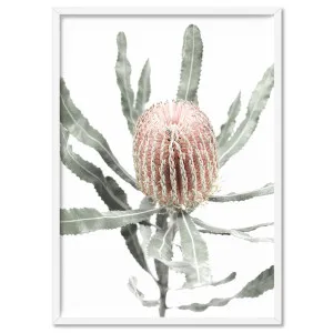 Banksia Pastels I - Art Print by Print and Proper, a Prints for sale on Style Sourcebook