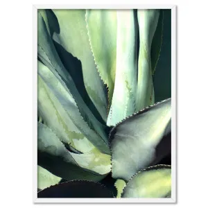 Agave Study II - Art Print by Print and Proper, a Prints for sale on Style Sourcebook
