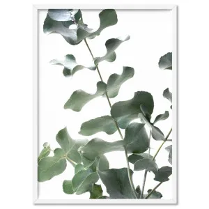 Eucalyptus Gum Leaves II  - Art Print by Print and Proper, a Prints for sale on Style Sourcebook