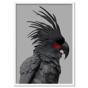 Black Palm Cockatoo - Art Print by Print and Proper, a Prints for sale on Style Sourcebook