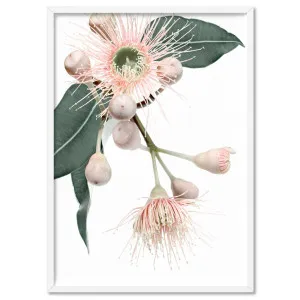 Flowering Eucalyptus in Blush II - Art Print by Print and Proper, a Prints for sale on Style Sourcebook