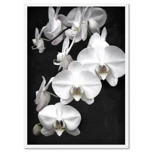 Orchid Blooms on Dark - Art Print by Print and Proper, a Prints for sale on Style Sourcebook