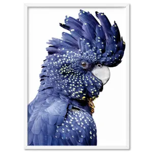 Black Cockatoo (blue tones) II - Art Print by Print and Proper, a Prints for sale on Style Sourcebook