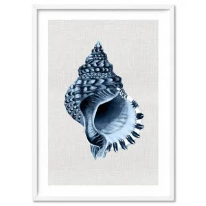Sea Shells in Navy | Conch Shell - Art Print by Print and Proper, a Prints for sale on Style Sourcebook
