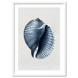 Sea Shells in Navy | Scotch Bonnet - Art Print by Print and Proper, a Prints for sale on Style Sourcebook