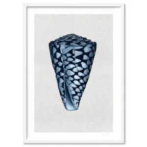 Sea Shells in Navy | Conus Shell - Art Print by Print and Proper, a Prints for sale on Style Sourcebook