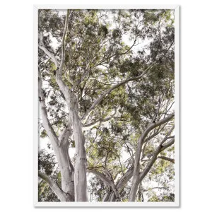 Gumtrees View I - Art Print by Print and Proper, a Prints for sale on Style Sourcebook