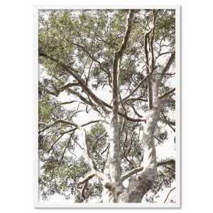 Gumtrees View II - Art Print by Print and Proper, a Prints for sale on Style Sourcebook