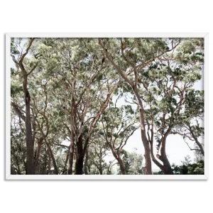 Among the Gumtrees II - Art Print by Print and Proper, a Prints for sale on Style Sourcebook