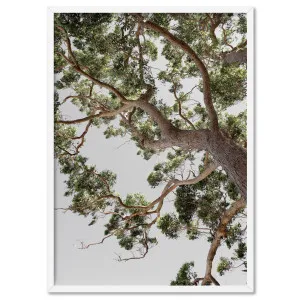 Majestic Gum I - Art Print by Print and Proper, a Prints for sale on Style Sourcebook