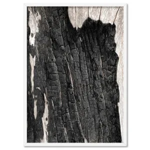 Gumtree | Charred Eucalypt I - Art Print by Print and Proper, a Prints for sale on Style Sourcebook