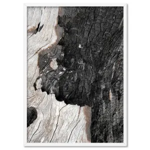 Gumtree | Charred Eucalypt II - Art Print by Print and Proper, a Prints for sale on Style Sourcebook