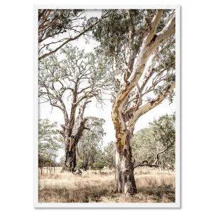 Among the Gumtrees III - Art Print by Print and Proper, a Prints for sale on Style Sourcebook