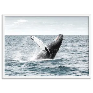 Humpback Whale - Art Print by Print and Proper, a Prints for sale on Style Sourcebook