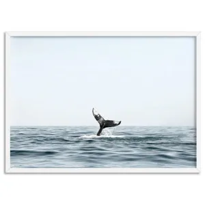 Humpback Whale Tail II Landscape - Art Print by Print and Proper, a Prints for sale on Style Sourcebook