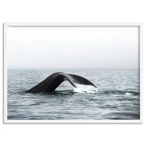 Humpback Whale Tail III Landscape - Art Print by Print and Proper, a Prints for sale on Style Sourcebook