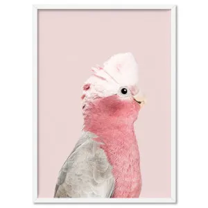 Galah Pink Cockatoo on Blush - Art Print by Print and Proper, a Prints for sale on Style Sourcebook