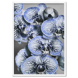 Blue Vein Orchids - Art Print by Print and Proper, a Prints for sale on Style Sourcebook