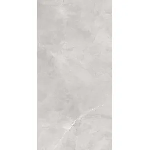 Quantum Silver Matt Tile by Beaumont Tiles, a Marble Look Tiles for sale on Style Sourcebook