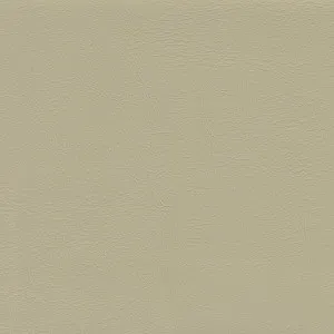 Studio Encore Almond by Austex, a Vinyl for sale on Style Sourcebook