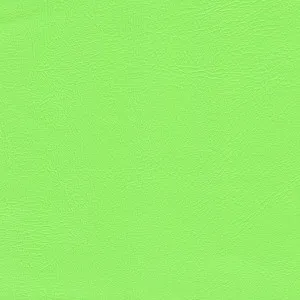 Studio Encore Lime by Austex, a Vinyl for sale on Style Sourcebook