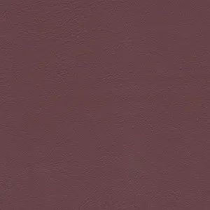 Studio Encore Ruby by Austex, a Vinyl for sale on Style Sourcebook