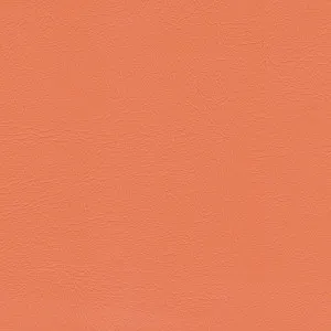 Studio Encore Tangerine by Austex, a Vinyl for sale on Style Sourcebook