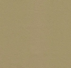 Tennant Plus Sandstone by Wortley, a Leather for sale on Style Sourcebook