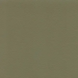 Principal Plus Khaki by Wortley, a Vinyl for sale on Style Sourcebook