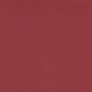 Principal Plus Red by Wortley, a Vinyl for sale on Style Sourcebook