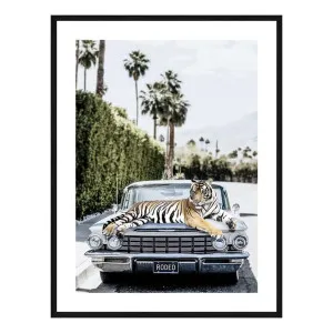 Rodeo Tiger Framed Print in 73 x 103cm by OzDesignFurniture, a Prints for sale on Style Sourcebook