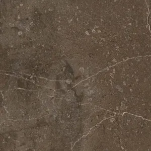 Terrane Marble Brown Polished Tile by Beaumont Tiles, a Marble Look Tiles for sale on Style Sourcebook