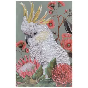 "Cockatoo & Native Plants" Stretched Hand Painting Canvas Wall Art, 90cm by PNC Imports, a Artwork & Wall Decor for sale on Style Sourcebook