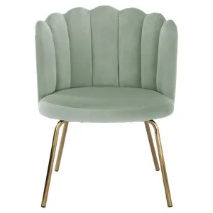 Elara Velvet Fabric Tub Chair, Sage / Gold by Room Aura, a Chairs for sale on Style Sourcebook