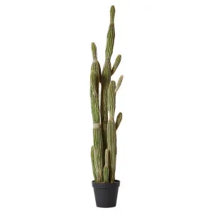 Elme Potted Artificial Saguaro Cactus, 152cm by Elme Living, a Plants for sale on Style Sourcebook