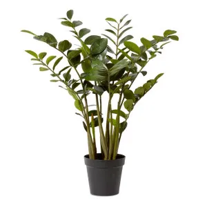 Elme Potted Artificial Zanzibar Plant, 90cm by Elme Living, a Plants for sale on Style Sourcebook