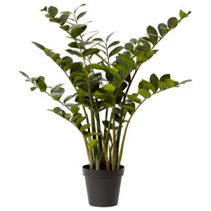 Elme Potted Artificial Zanzibar Plant, 120cm by Elme Living, a Plants for sale on Style Sourcebook