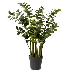 Elme Potted Artificial Zanzibar Plant, 137cm by Elme Living, a Plants for sale on Style Sourcebook