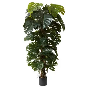 Elme Potted Artificial Monstera Totem, 180cm by Elme Living, a Plants for sale on Style Sourcebook